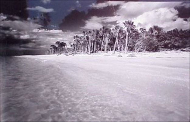 Cayo Costa #1 Florida Panorama by Clyde Butcher Cayo Costa #1 Florida Panorama by Clyde Butcher