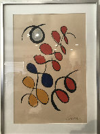 Boules De Coulen Limited Edition Print by Alexander Calder - 1 Boules De Coulen Limited Edition Print by Alexander Calder - 1