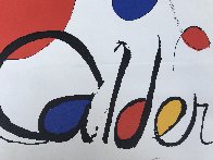 Albi Calder AP 1969 Limited Edition Print by Alexander Calder - 3 Albi Calder AP 1969 Limited Edition Print by Alexander Calder - 3