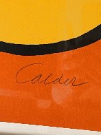 Bird's Nest 1968 40x53 HS - Huge Limited Edition Print by Alexander Calder - 2 Bird's Nest 1968 40x53 HS - Huge Limited Edition Print by Alexander Calder - 2