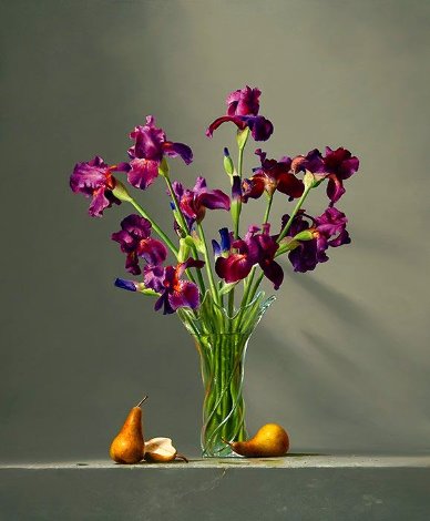 Iris Viola - Huge Limited Edition Print - Dario Campanile