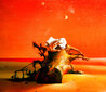 Hand on Log 1973 28x32 Oil on Canvas Original Painting by Dario Campanile - 0