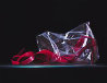 Ruby Slippers AP 2007 Limited Edition Print by Dario Campanile - 0