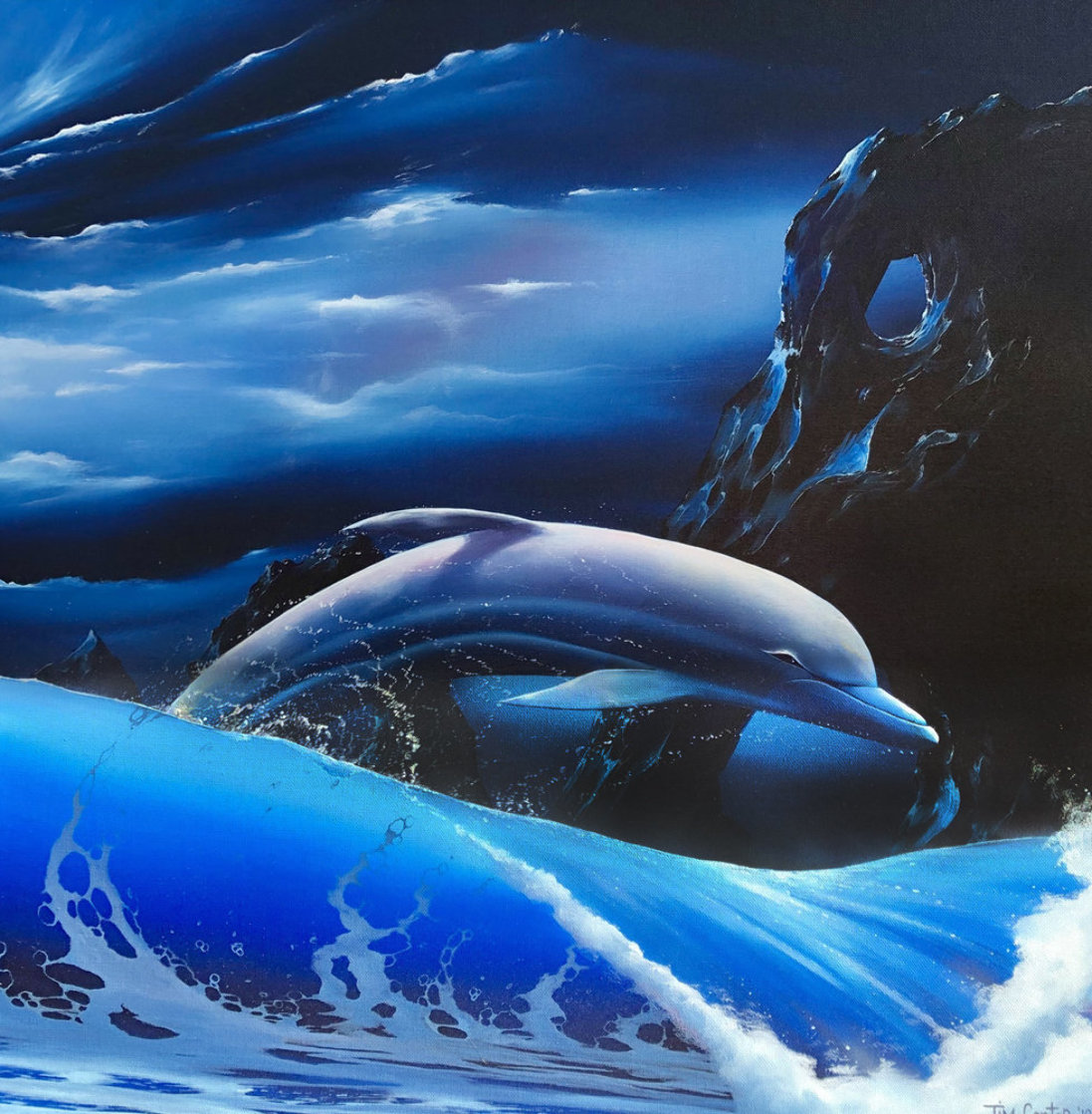 Dolphin 1991 24x24 Oil On Canvas By Tim Cantor   Tim Cantor Dolphin 1991 32x32 