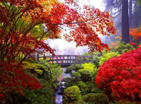 Secret Garden - Huge - Portland, Oregon Photography - William Carr