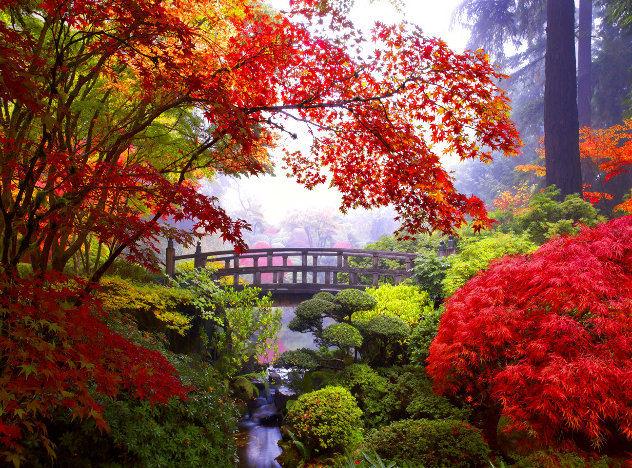 Secret Garden - Huge - Portland, Oregon Photography by William Carr