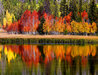 Duck Creek 2011 - Huge 44x52 - Utah Panorama by William Carr - 2 Duck Creek 2011 - Huge 44x52 - Utah Panorama by William Carr - 2