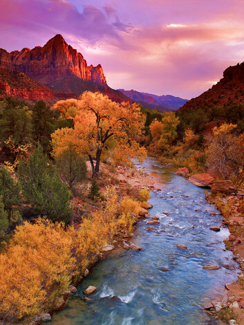 Watchman Tower - Huge 1.5M  - Recess Mount - Zion NP, Utah Panorama - William Carr