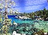 Sand Harbor - Recess Mount - Lake Tahoe, California Panorama by William Carr - 1