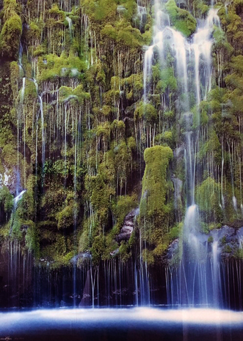 Weeping Wall Panorama by William Carr Weeping Wall Panorama by William Carr