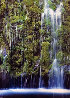 Weeping Wall Panorama by William Carr - 0