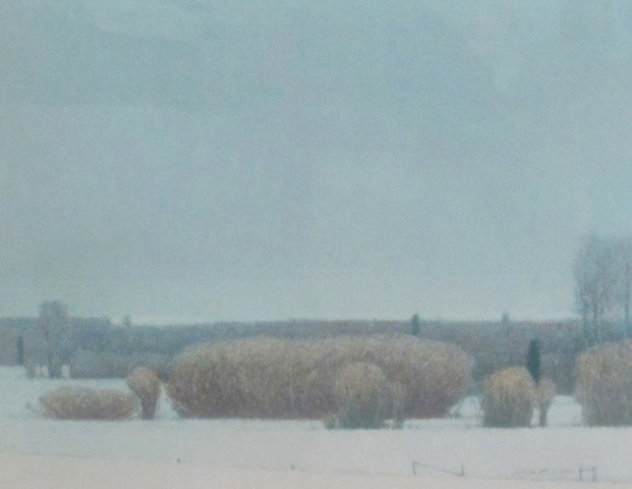 Willows in the Snow 1990 Limited Edition Print by Russell Chatham