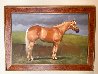 Horse Portrait 30x42 - Huge Original Painting by Chase Chen - 1