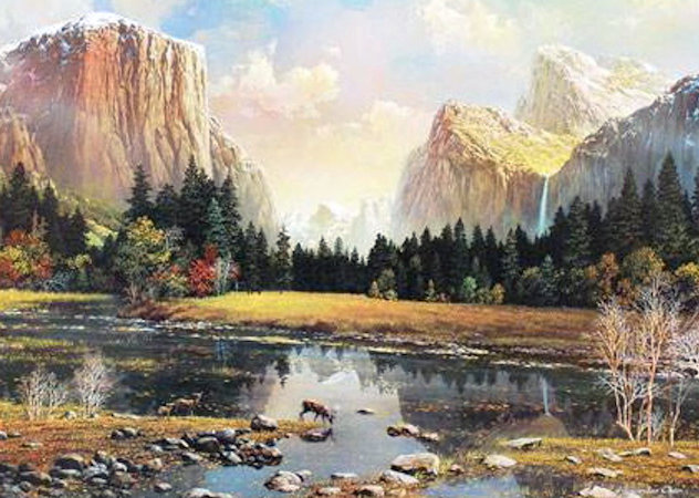 Yosemite Splendor 2009 - California Limited Edition Print by Alexander Chen