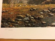 Yosemite Splendor 2009 Limited Edition Print by Alexander Chen - 3 Yosemite Splendor 2009 Limited Edition Print by Alexander Chen - 3