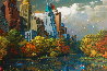 Central Park Fall - NYC - New York Limited Edition Print by Alexander Chen - 3