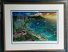 Hawaiian Sunset 2000 - Diamondhead, Oahu Limited Edition Print by Alexander Chen - 1