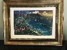 Hawaiian Sunset 2003 Embellished Limited Edition Print by Alexander Chen - 1