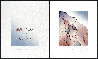 From the Voices from the Song of Songs: My Dove in the Clefts of the Rocks 1998 Limited Edition Print by Judy Chicago - 1