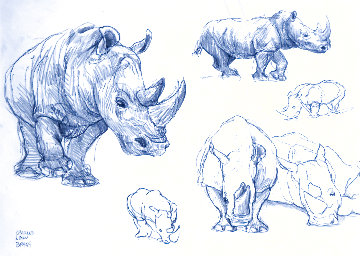 Study For Rhino 17x20 Drawing - Charles Bragg (Chick Bragg)