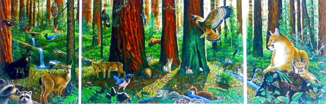 In the Company of Giants AP - Redwood Forest, California Limited Edition Print by Charles Bragg (Chick Bragg)