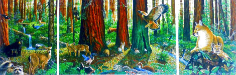In the Company of Giants AP - Redwood Forest, California Limited Edition Print - Charles Bragg (Chick Bragg)