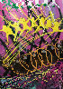 Untitled Painting 1994 64x48 Original Painting by Dale Chihuly - 0 Untitled Painting 1994 64x48 Original Painting by Dale Chihuly - 0