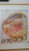 Macchia 1994 Limited Edition Print by Dale Chihuly - 1 Macchia 1994 Limited Edition Print by Dale Chihuly - 1