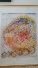 Macchia 1994 Limited Edition Print by Dale Chihuly - 1 Macchia 1994 Limited Edition Print by Dale Chihuly - 1