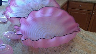 Pink Seaform 7 Pc Glass Sculpture Set 1995 Sculpture by Dale Chihuly - 8