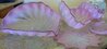 Pink Seaform  - 7 Pc Glass Nest Sculpture Set 1995 22 in - Unique Sculpture by Dale Chihuly - 2
