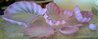 Pink Seaform  - 7 Pc Glass Nest Sculpture Set 1995 22 in - Unique Sculpture by Dale Chihuly - 4
