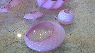 Pink Seaform 7 Pc Glass Sculpture Set 1995 Sculpture by Dale Chihuly - 5