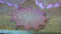 Pink Seaform 7 Pc Glass Sculpture Set 1995 Sculpture by Dale Chihuly - 6