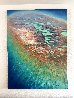 Rainbow Reef 2013 48x36 - Huge - Hawaii Original Painting by Patrick Ching - 1
