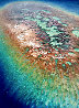 Rainbow Reef 2013 48x36 - Huge - Hawaii Original Painting by Patrick Ching - 0