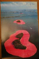 Surrounded Islands, Biscayne Bay 1980 HS Limited Edition Print by Javacheff   Christo - 1