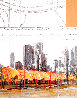 Gates, Project For Central Park, New York 2003 HS Limited Edition Print by Javacheff Christo - 0