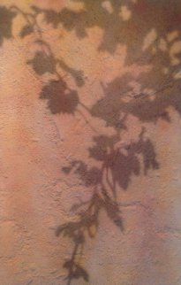 Climbing Vine Shadow 2003 57x38 Original Painting - Josep Cisquella Climbing Vine Shadow 2003 57x38 Original Painting - Josep Cisquella