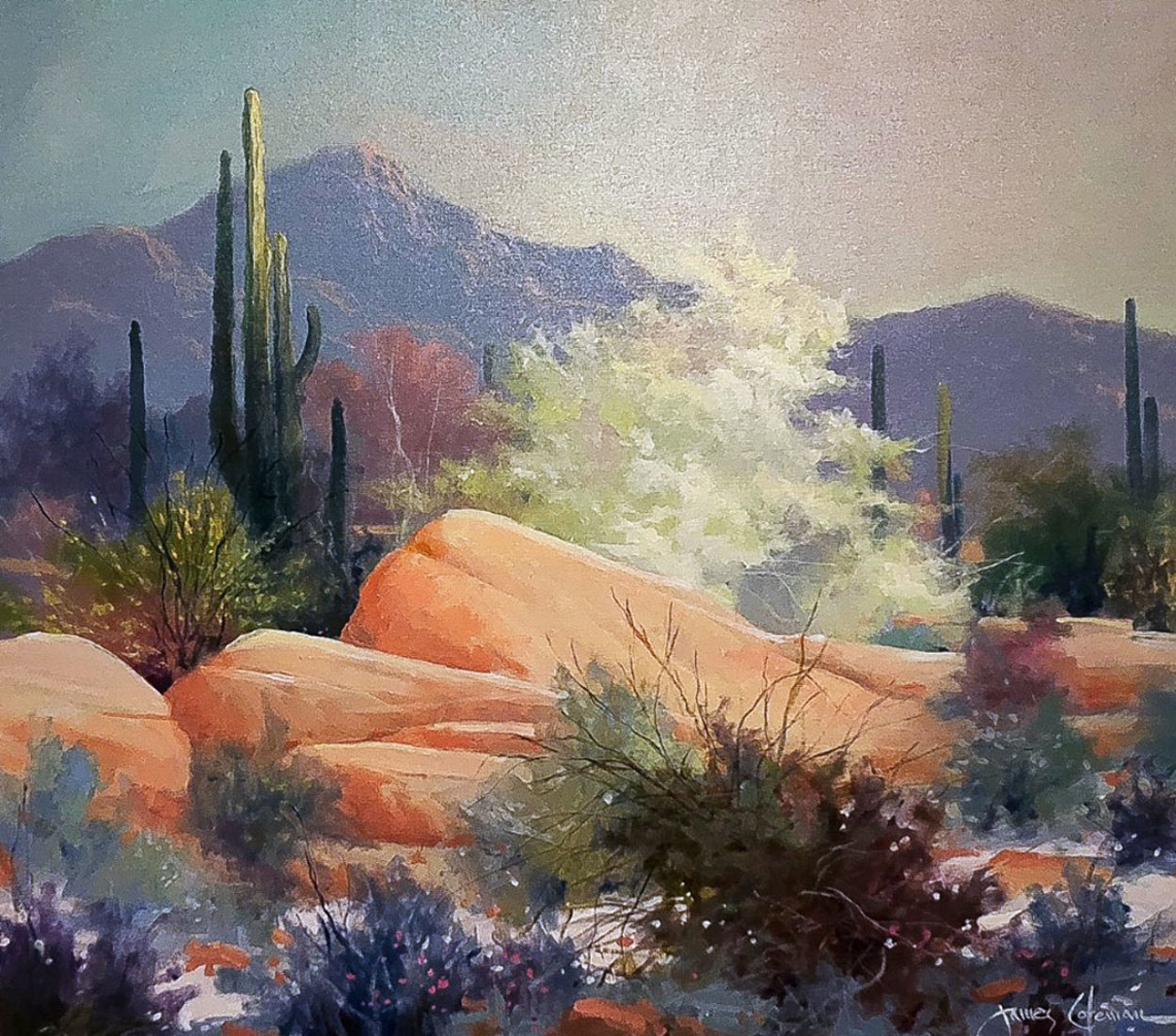 Sonoran Desert 1989 37x43 Super Huge Original Painting by James Coleman Sonoran Desert 1989 37x43 Super Huge Original Painting by James Coleman