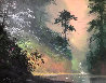 Serenity in the Mist 24x28 Original Painting by James Coleman - 3