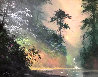 Serenity in the Mist 24x28 Original Painting by James Coleman - 0