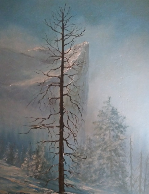 Untitled Painting (Yosemite Landscape) 36x30 - California Original Painting by James Coleman
