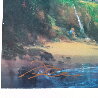 Alone with Our Hearts 2009 - Hawaii Limited Edition Print by James Coleman - 3