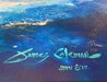 Sunset Regatta 2011 30x60 - Huge - Giclee on Canvas Limited Edition Print by James Coleman - 4