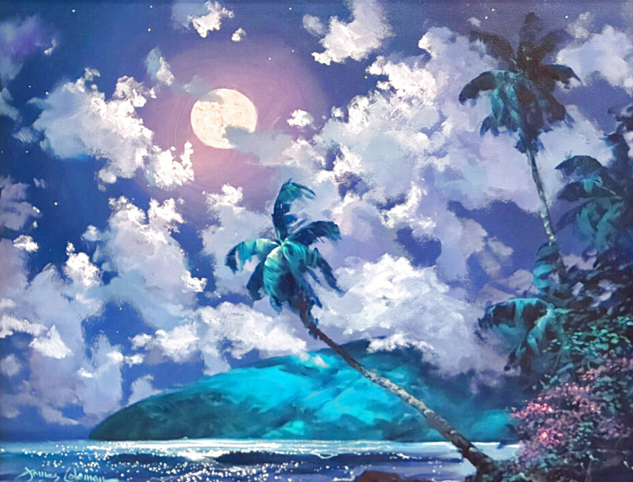 Moon Splendor Framed Oil on Canvas 20x24 by James Coleman - For Sale on ...