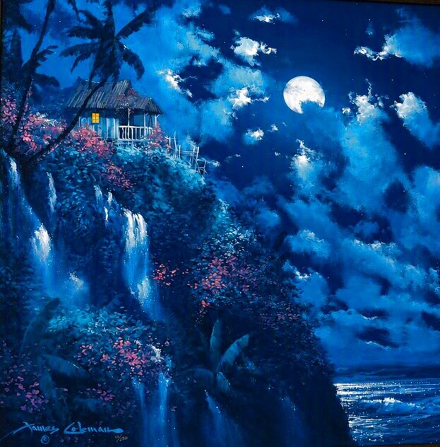 Enchanted Hideaway 1994 - Huge 41x41 Framed Cibachrome by James