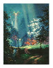 Soft Glow PP 1997 Limited Edition Print by James Coleman - 0