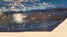 Moon Over Diamond Head 1997 Limited Edition Print by James Coleman - 2 Moon Over Diamond Head 1997 Limited Edition Print by James Coleman - 2