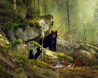 Visitors on the Sun River - Black Bears Limited Edition Print by Michael Coleman - 0